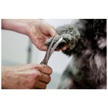 Aesculap nůžky profesionální na stříhání psů, zahnuté, 160 mm