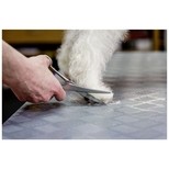 Aesculap nůžky profesionální na stříhání psů, zahnuté, 160 mm