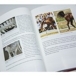 Kniha Kdyby koně mohli křičet