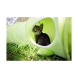 Tunel pro kočky housenka, 30 x 170 cm
