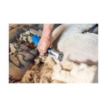 Strojek stříhací Aesculap Econom NOVA na ovce, síťový