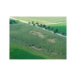 Síť pro elektrické ohradníky proti divoké zvěři Wildnet 90 cm, 50 m, 1 hrot, modrá
