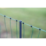 Síť premium nevodivá pro drůbež 106 cm, 2 hroty, 25 m, zelená