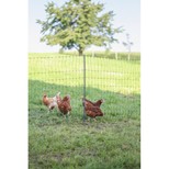 Síť premium nevodivá pro drůbež 106 cm, 2 hroty, 25 m, zelená