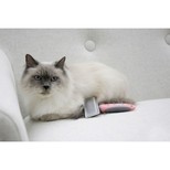 Kartáč pro kočky plastový vyčesávací, jemný, korálová/šedá