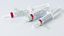 Lactiferm PASTA Vit /80ml/  1/24