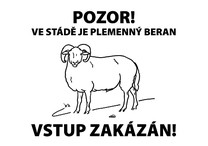 Tabulka výstražná "PLEMENNÝ BERAN"