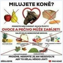 Tabulka výstražná "MILUJETE KONĚ?"