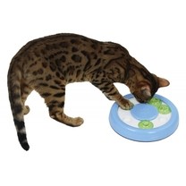 Hlavolam, interaktivní hra pro kočky