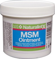 MSM ointment, ochranná mast první pomoci na oděrky, škrábance, boláky a podrážděnou kůži (Balení 250g)