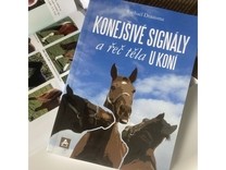 Kniha Konejšivé signály a řeč těla u koní(barevná verze)