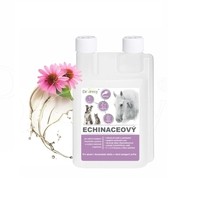 DROMY Echinaceový sirup 1000 ml