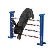 Agility vysoká překážka pro králíky a jiné hlodavce - králičí hop