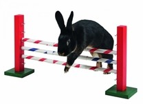 Agility střední překážka pro králíky a jiné hlodavce - králičí hop