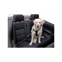 Bezpečnostní pás pro psy a kočky, 50-70 cm