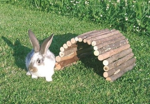 Most pro králíky