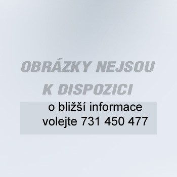 Stěrka na hnůj oblouková (50 cm) /náhradní guma/