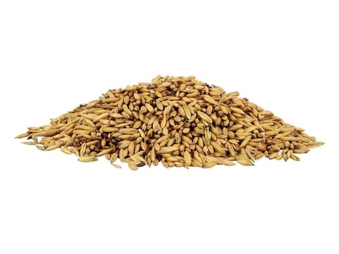 Oves celý  25 kg